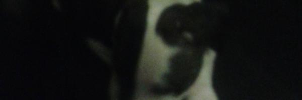 aaronmaher34 Profile Banner