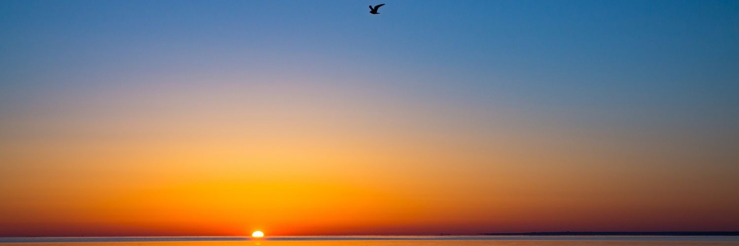ari_explore's profile banner image