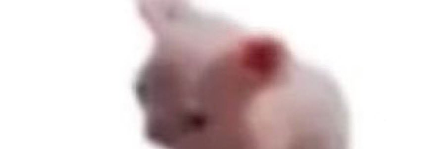 suakjin's profile banner image