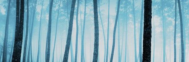 ws12t99's profile banner image