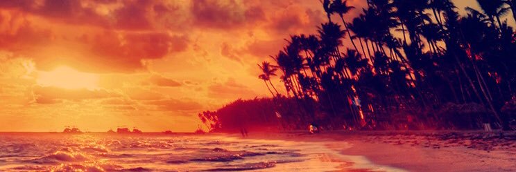 Magic_Meadow_'s profile banner image