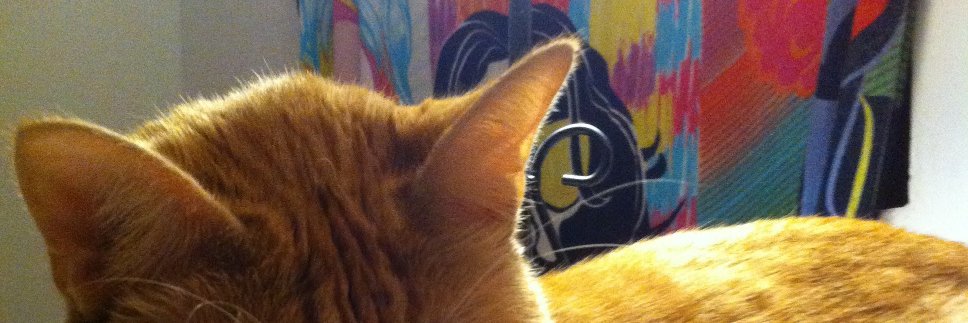 tecomotolacara_'s profile banner image
