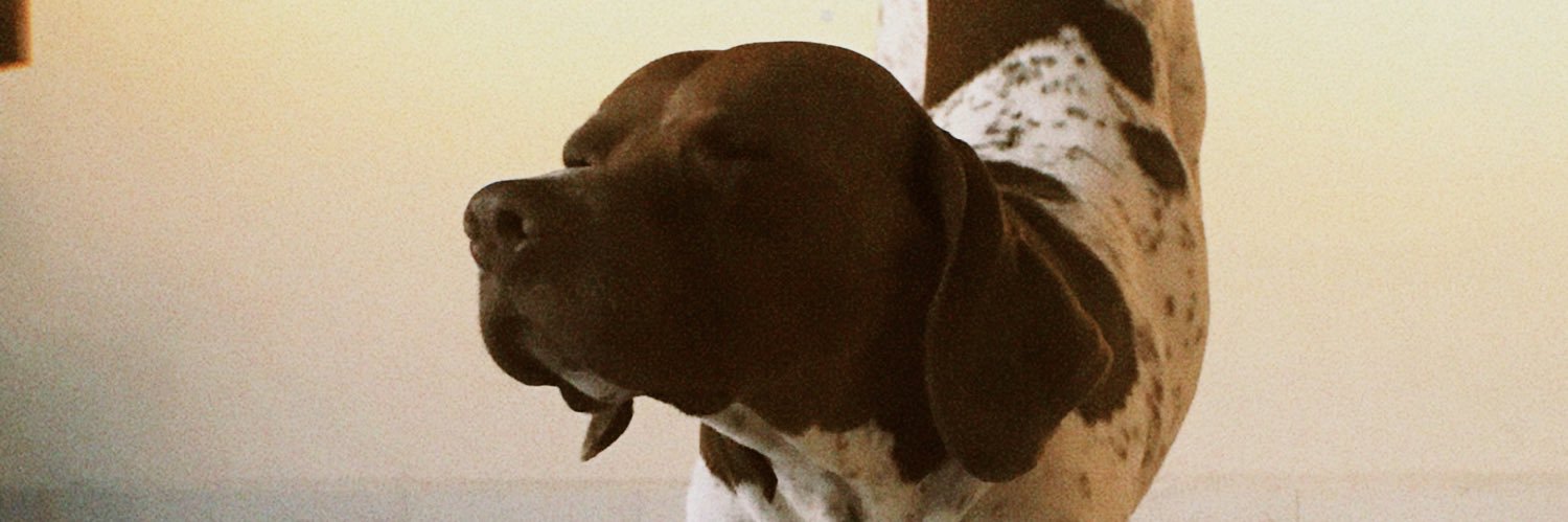 mini_m4ri's profile banner image