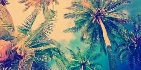 Fatima_Canelas's profile banner image