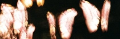 wutd0lan's profile banner image