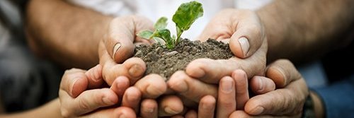 Finistere Ventures banner