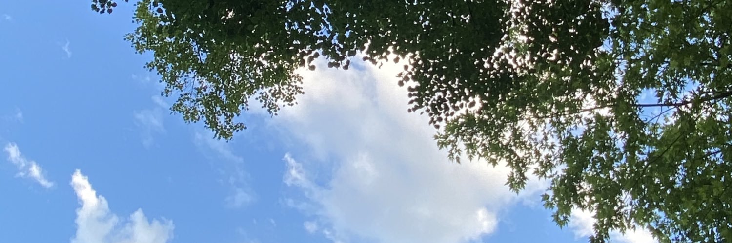 Twitch_Loc's profile banner image