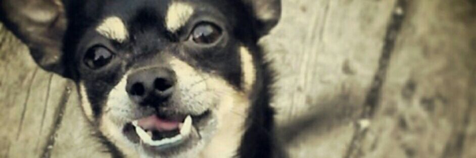 missy48529's profile banner image