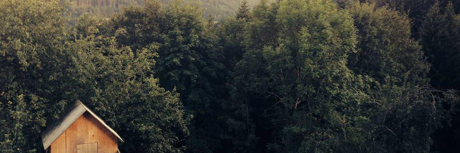 sonitnelap's profile banner image