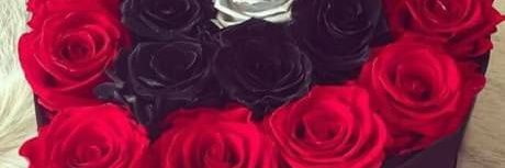 Pevitaaaaperce's profile banner image
