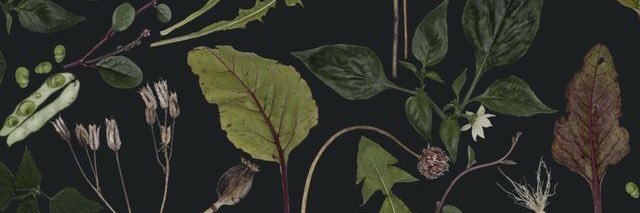 yowzaneeley's profile banner image