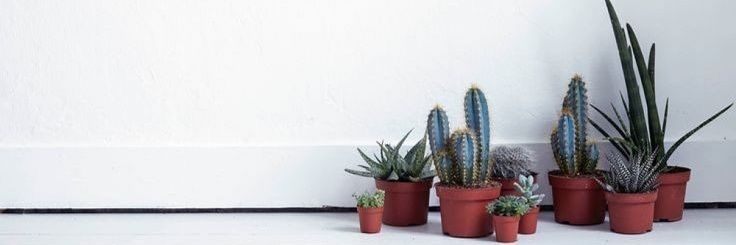 ASatensai's profile banner image