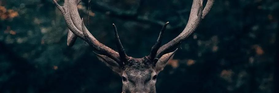 bawaaall's profile banner image
