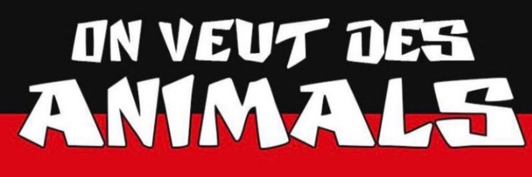 Pirluzzato 🤿 banner
