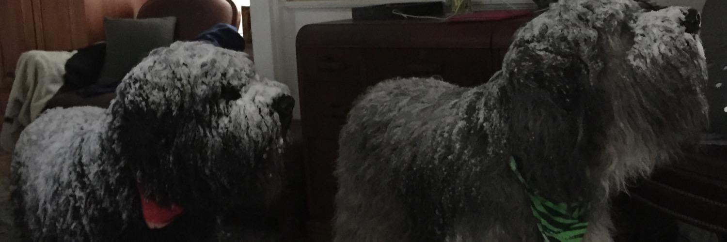 mountpleasantph's profile banner image
