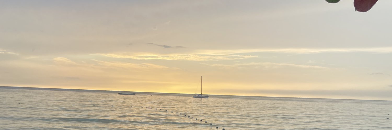 DanTajHo's profile banner image