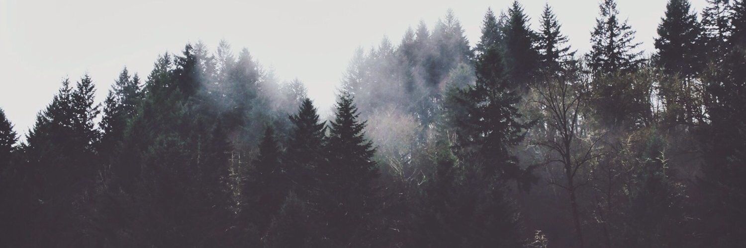 muvinian's profile banner image