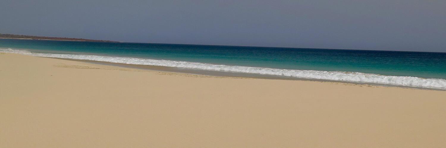 fozzieXx's profile banner image