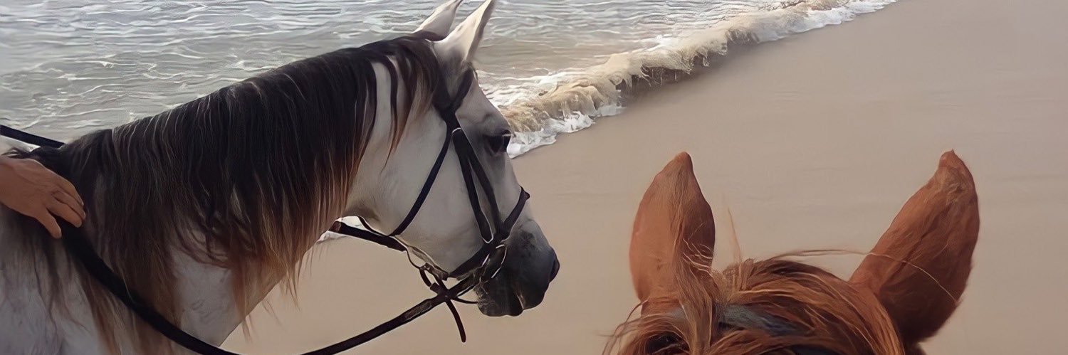 eileenbeyliss's profile banner image