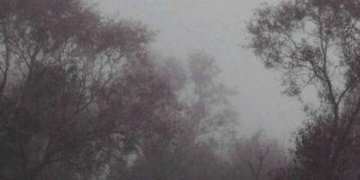 itsxCella's profile banner image