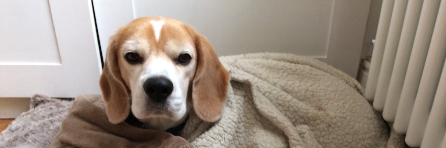 Fleur Cunningham banner