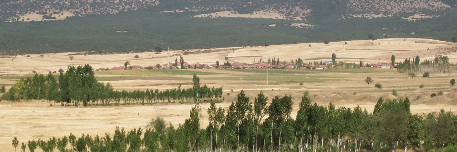 Nawasch Kim-mi banner
