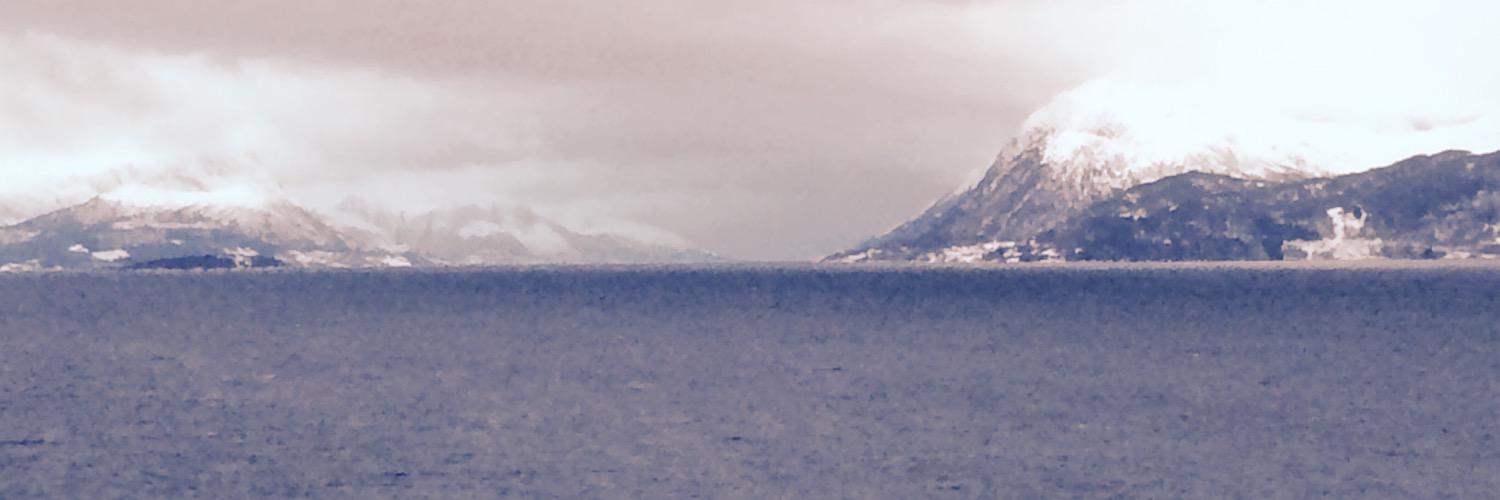 multilinus's profile banner image