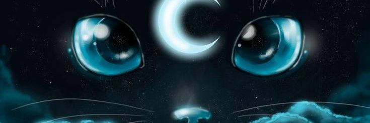 ANA_VZLA's profile banner image