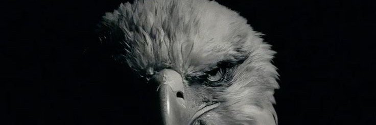 Eagle_8283's profile banner image
