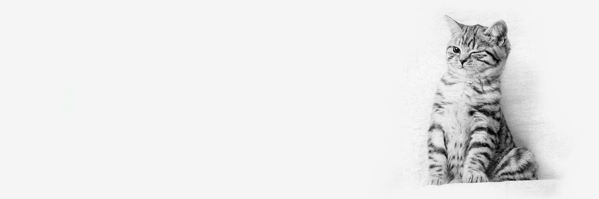 adersonarruda's profile banner image