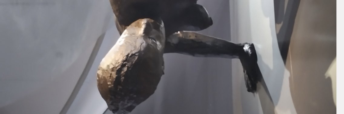 SnowwhitesLair's profile banner image