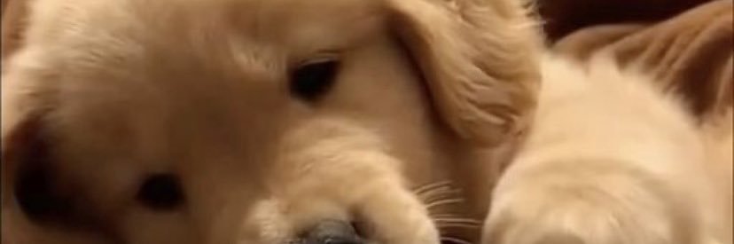 คูมหมอนนนนนนนนนนนนนน banner