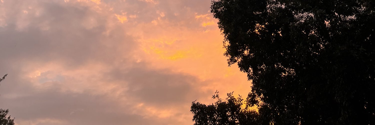 HamAcavs's profile banner image
