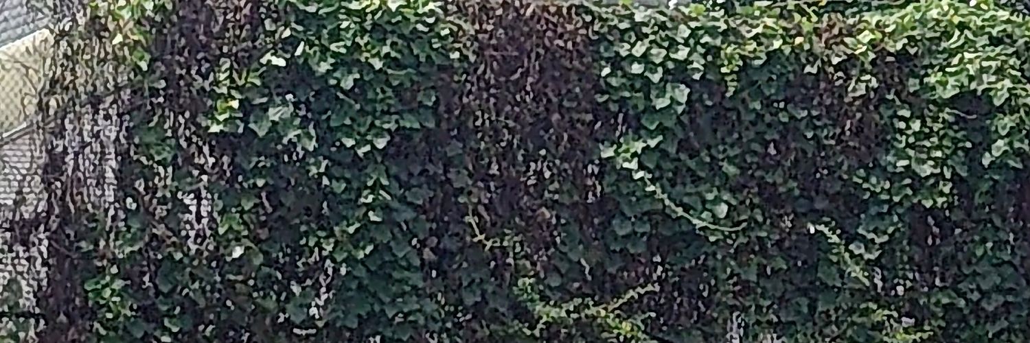 ntggpdd's profile banner image