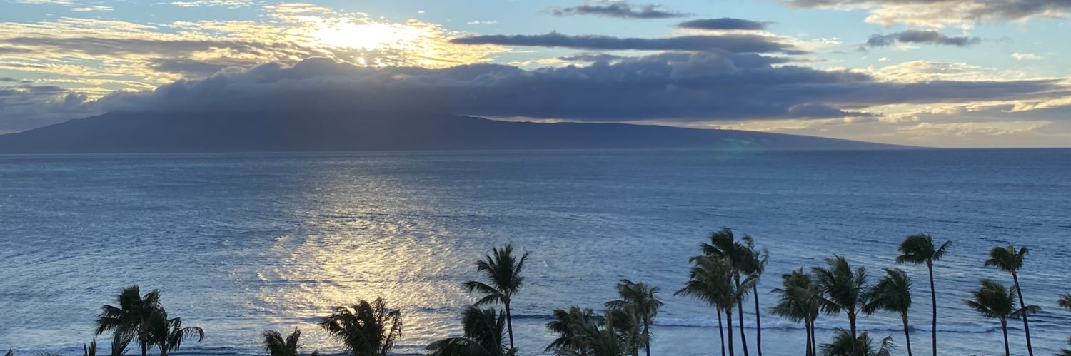 leahdobres's profile banner image