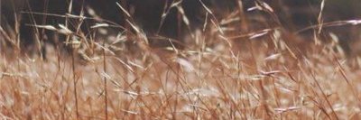 kosorio129's profile banner image