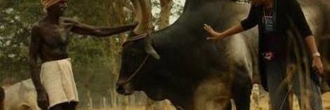 raja89an's profile banner image