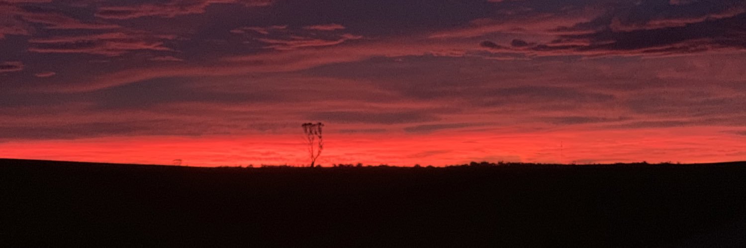 rowan fulwood banner