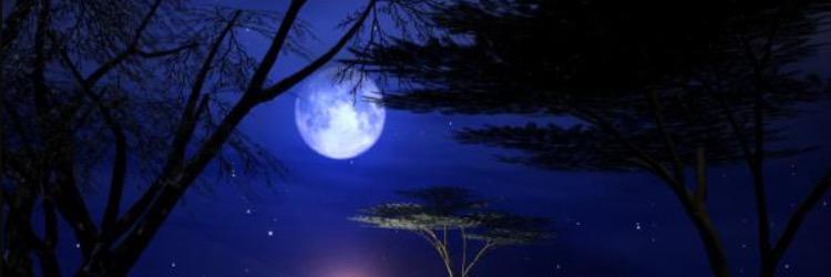 Xmnoor77's profile banner image