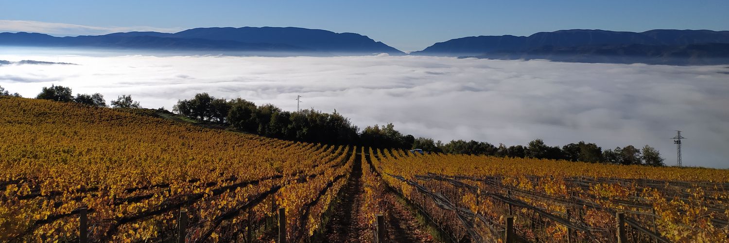 Castell d'Encus banner