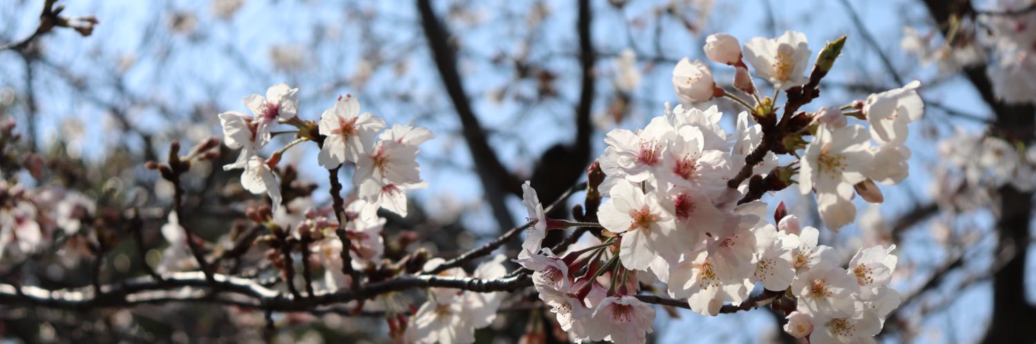 bu_chan0210's profile banner image