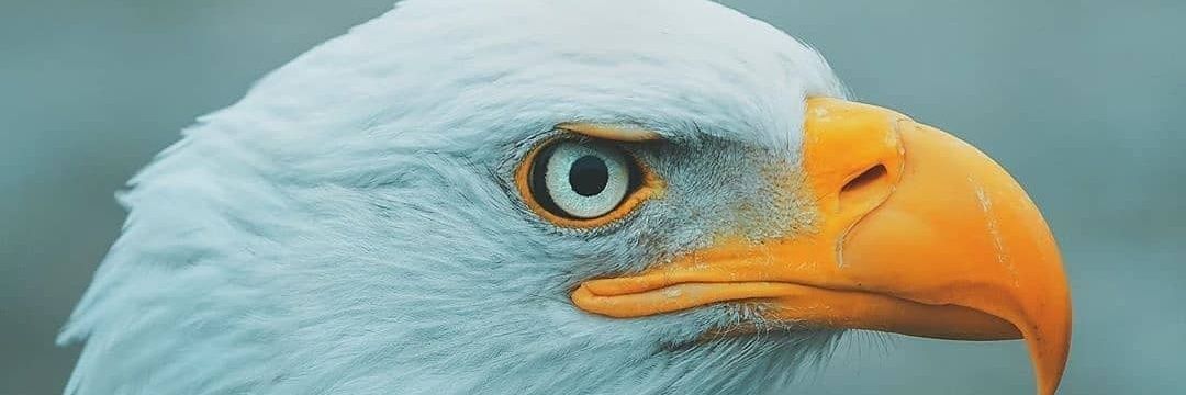 kelsenz's profile banner image