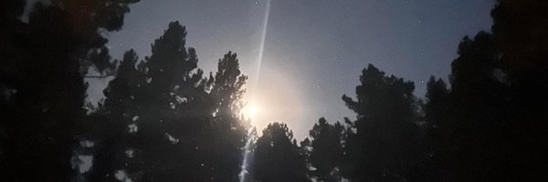 Ms_EagleHeart Profile Banner