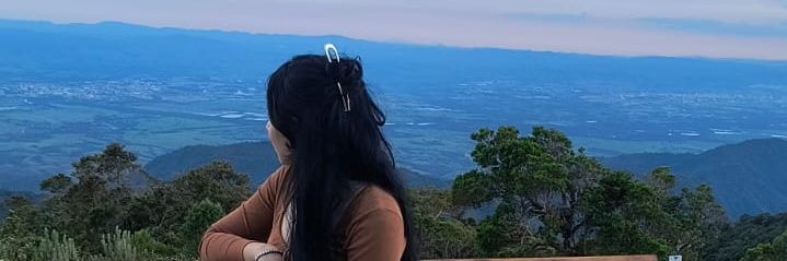 Bely banner