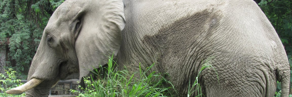 nature_epic's profile banner image