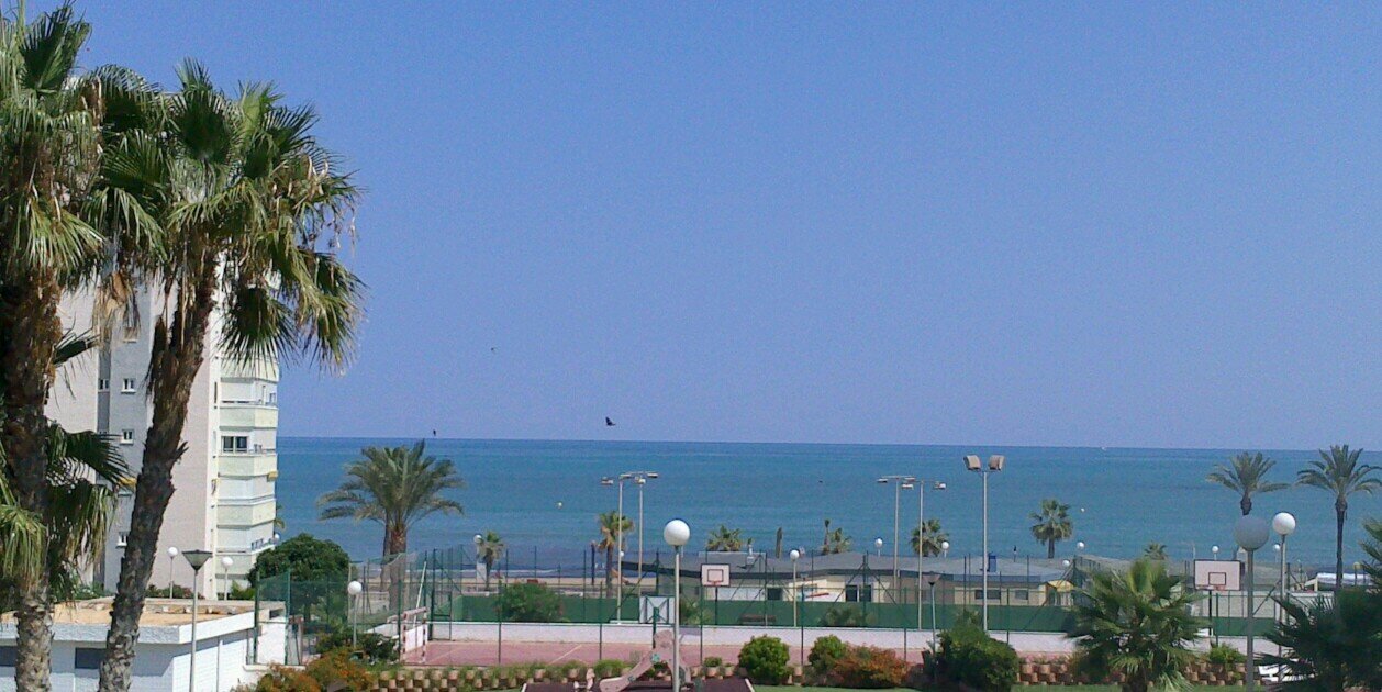Alfonso_tpta's profile banner image