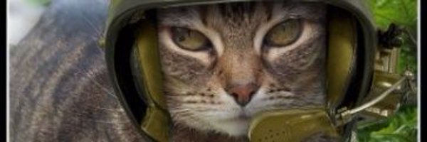 PatchyAmy Profile Banner