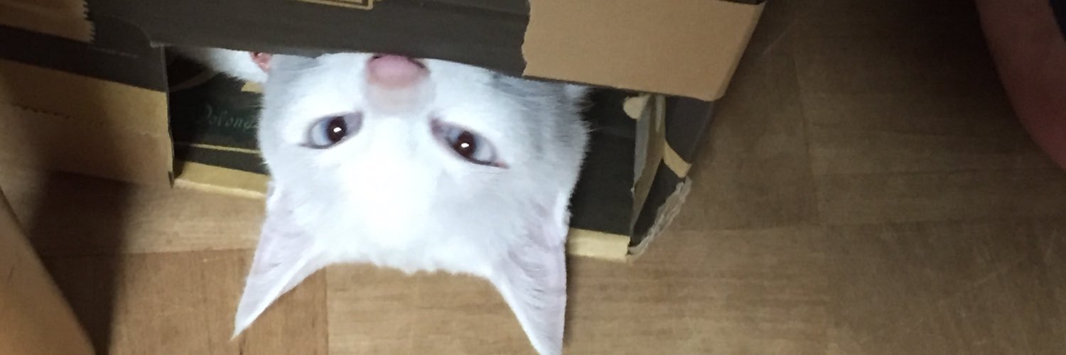 lllttt21's profile banner image