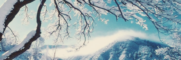 giraffedefense Profile Banner