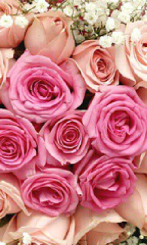 putri_intan_'s profile banner image